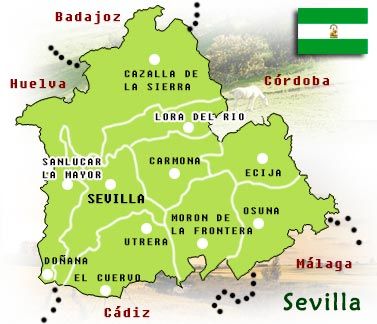 servicio tecnico sevilla